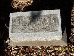 Herbert F. Hamilton 