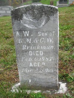A. W. Brinkman 