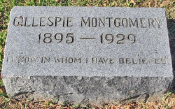 Gillespie Montgomery 