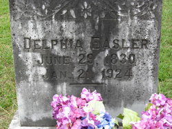 Delphia <I>Sprouse</I> Easler 