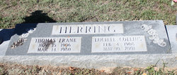 Lucille <I>Collins</I> Herring 