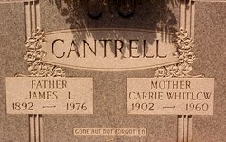 Carrie Ann <I>Whitlow</I> Cantrell 