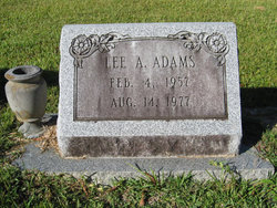 Lee A Adams 