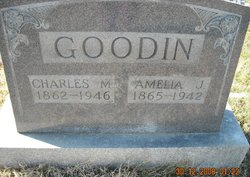 Amelia J. Goodin 