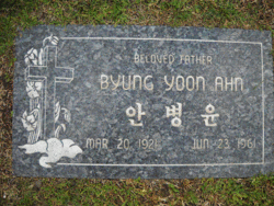 Byung Yoon Ahn 