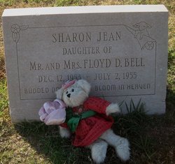 Sharon Jean Bell 