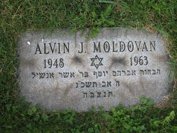 Alvin J Moldovan 