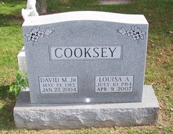 David Mott Cooksey Jr.