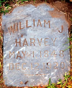 William James Harvey 