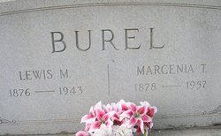 Marcenia <I>Tullis</I> Burel 