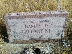 Harley David Callantine 