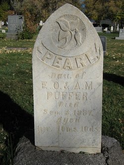 Pearl Puffer 