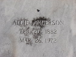 Algie E Anderson 