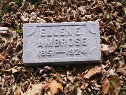 Ellen E Ambrose 