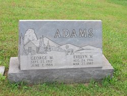 George William Adams 
