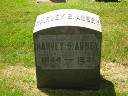 Harvey Smith Abbey 