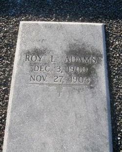 Roy L Adams 