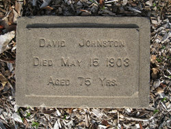 David Johnston 