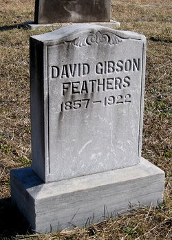 David Gibson Feathers 