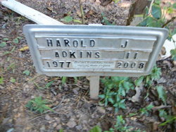 Harold J Adkins 