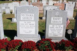 Harry Shirley 