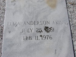 Eliza <I>Anderson</I> Akins 