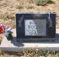 Moss Daniel Boone 