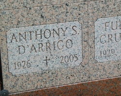Anthony S D'Arrigo 