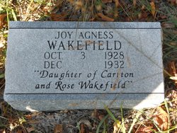 Joy Agnes Wakefield 
