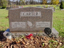 Lester D Carter 