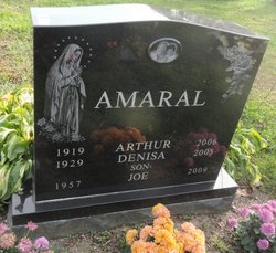 Denisa Amaral 