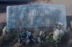 Mary Anne <I>Van Buskirk</I> Benvie 