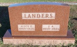 Alice E Landers 