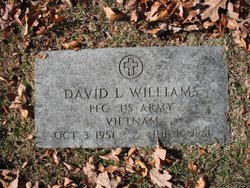 David L Williams 
