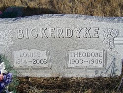 Theodore Bickerdyke 