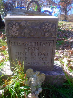 Elizabeth Faye Arvin 