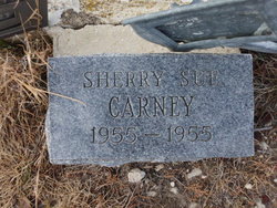 Sherry Sue Carney 