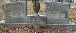 Mary Lenora <I>Ball</I> Perkins 