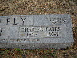 Charles Bates Fly 