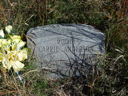 Carrie Anderson 