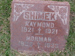 Raymond Shimek 