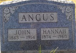 Hannah <I>Appleton</I> Angus 