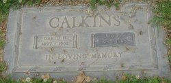 Lily Irene <I>Irwin</I> Calkins 