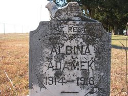 Albina Adamek 