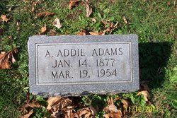 Amy Addie Adams 
