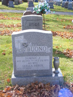 Dominic J. Buono 