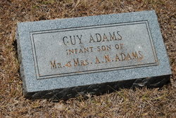 Guy Adams 
