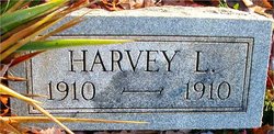 Harvey L Fox 