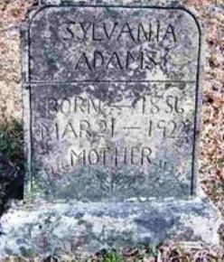 Sylvania Adams 