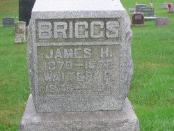 Walter B Briggs 